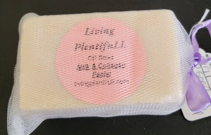 Two Pack Cold Process Soap with Exfoliating Bag
